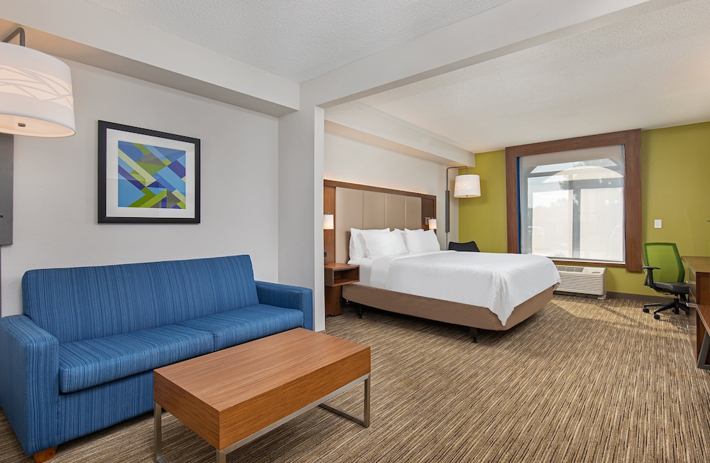 Suite, 1 King Bed - Photo 6