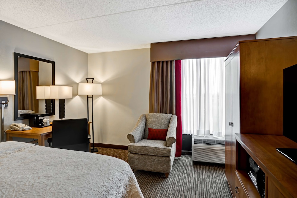 Room, 1 King Bed, Accessible, Non Smoking (Refrigerator & Microwave) - Photo 3