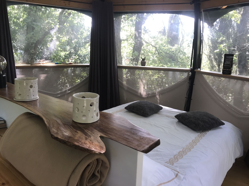 Campalune Perched with free Jacuzzi and Swim Spa session photo 1