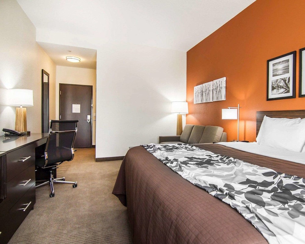 Suite, 1 King Bed