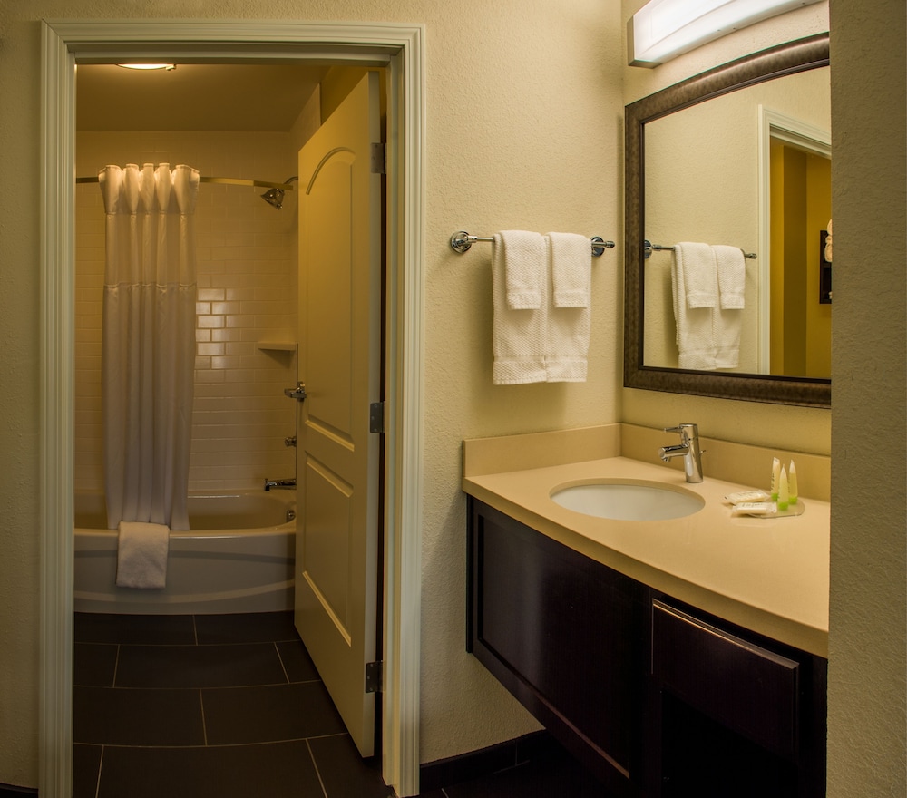 Suite, 1 Bedroom, Kitchen photo 3
