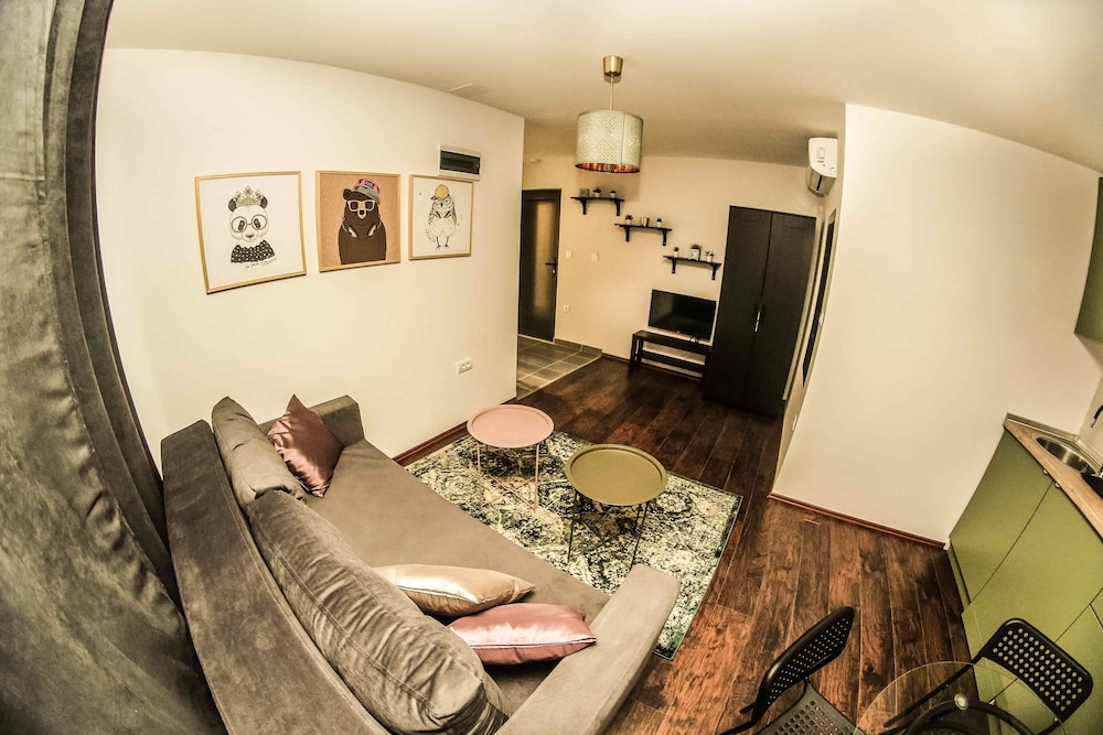 Basic Apartment, 1 Bedroom (3)