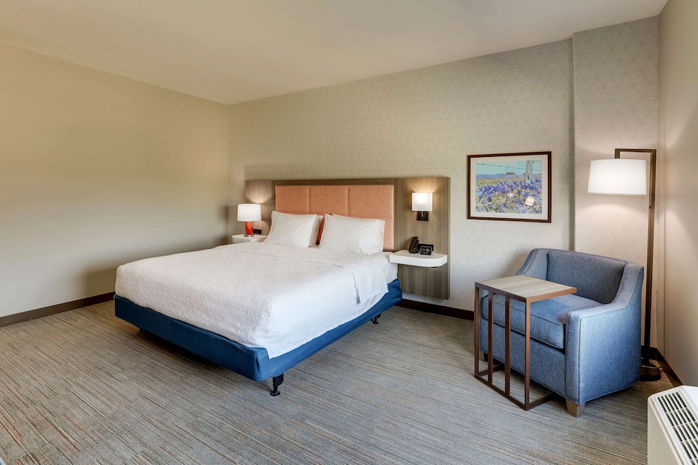 Room, 1 King Bed, Accessible, Bathtub - Photo 7