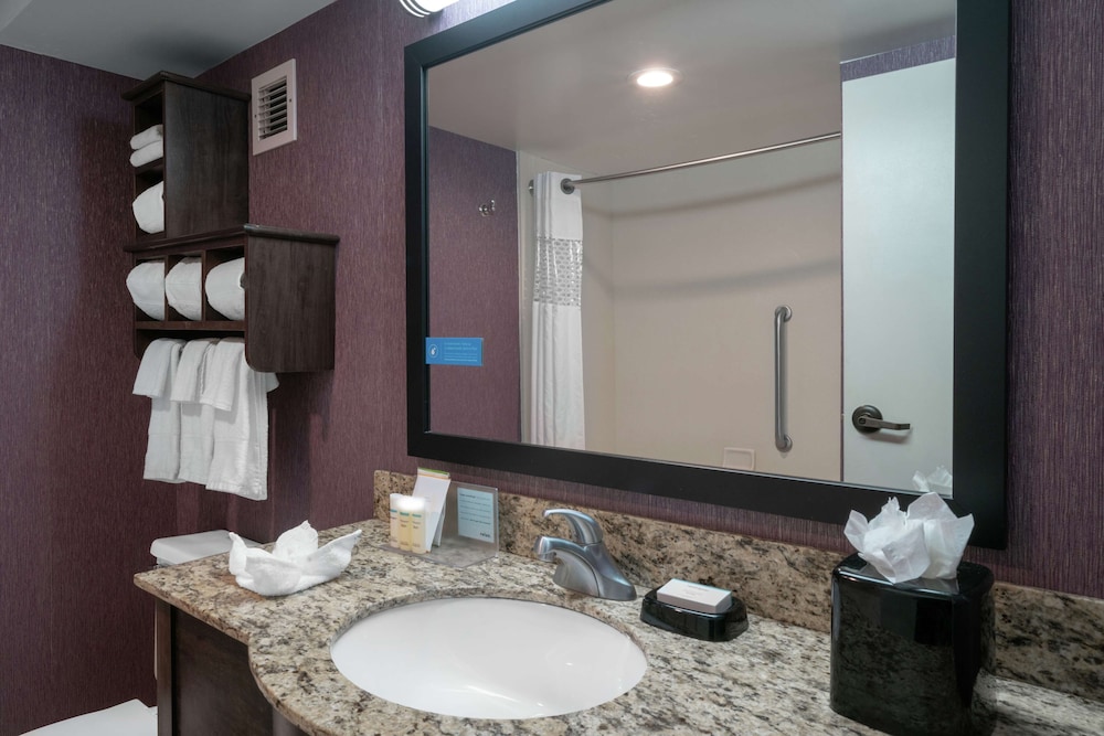 Classic Room, 1 King Bed, Accessible (Mobility/Hearing - Roll-In Shower) - Photo 5