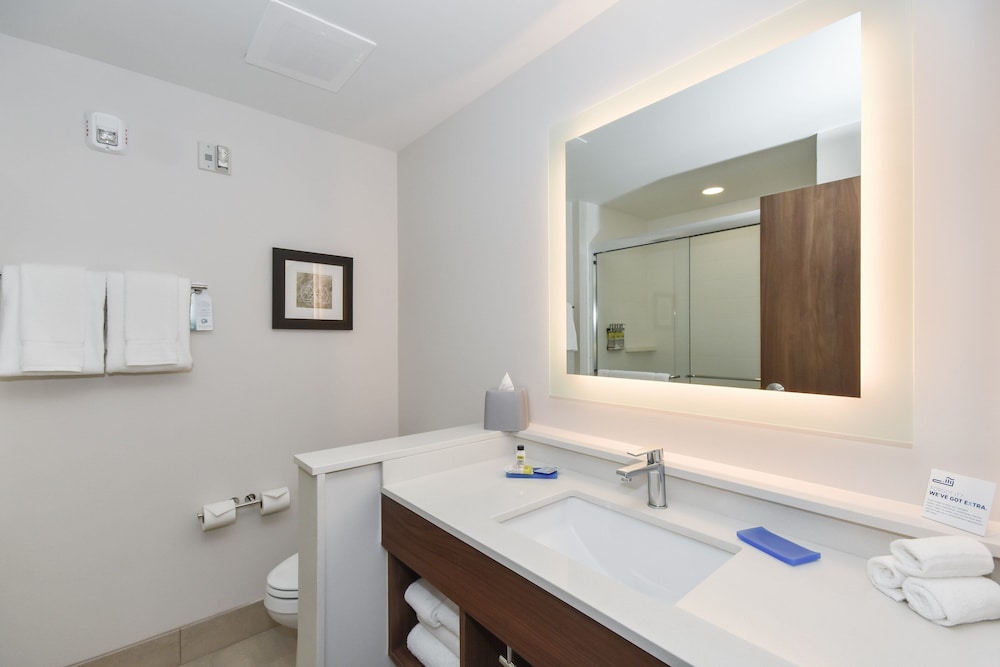 Suite, 1 King Bed, Accessible photo 1