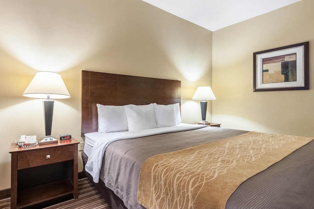 Room, 1 King Bed, Accessible, Non Smoking