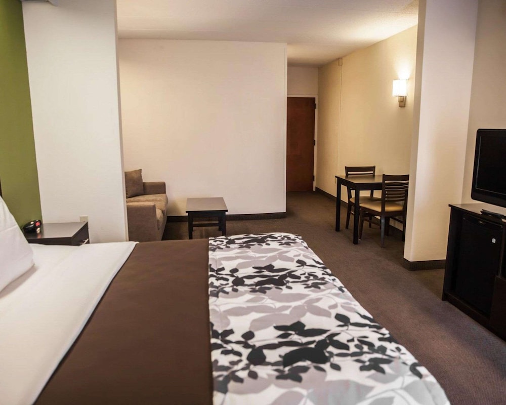 Suite, 1 King Bed with Sofa bed, Accessible, Non Smoking - Photo 3