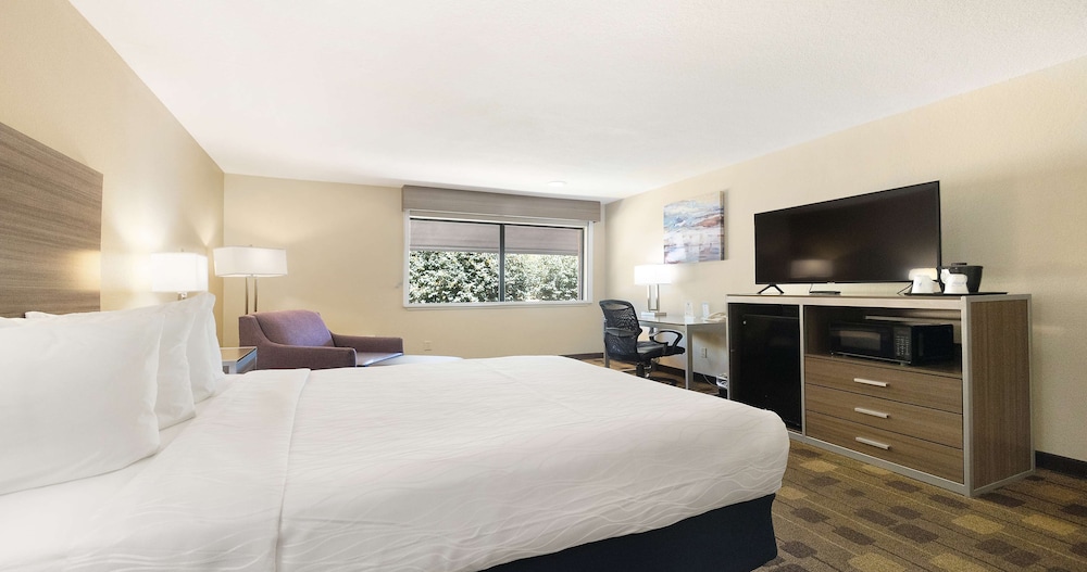 Standard Room, 1 King Bed, Non Smoking, Refrigerator & Microwave photo 3