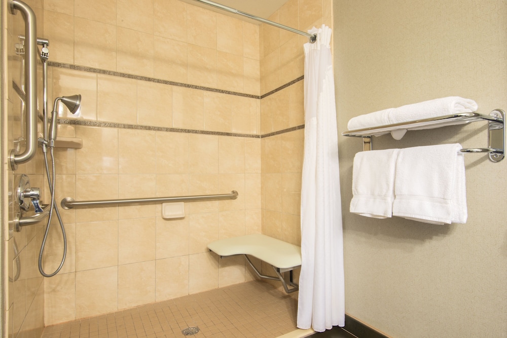 Standard Room, 1 King Bed, Accessible (Roll-In Shower) photo 2