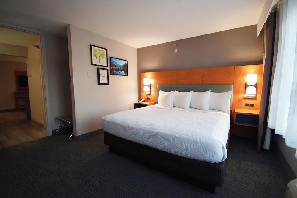 Suite, 1 King Bed with Sofa bed, Non Smoking (Upgrade) - Photo 3