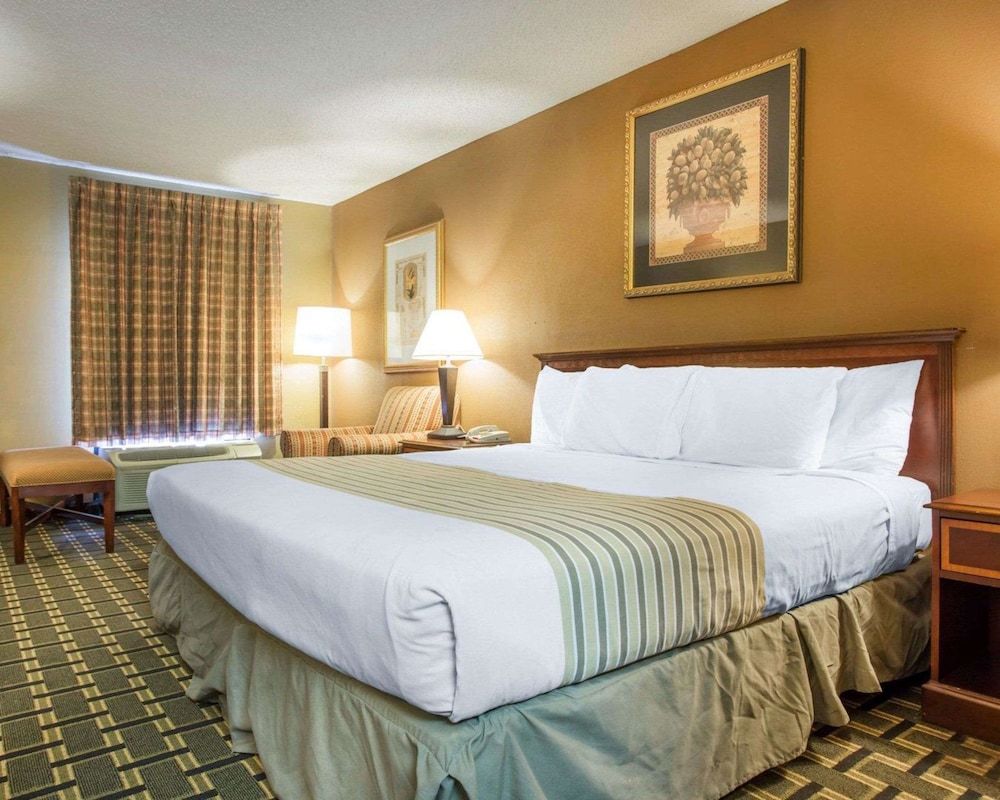 Room, 1 King Bed, Accessible, Smoking