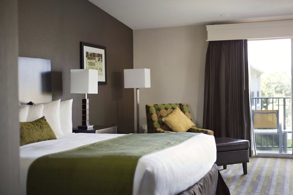 Room, 1 King Bed photo 3
