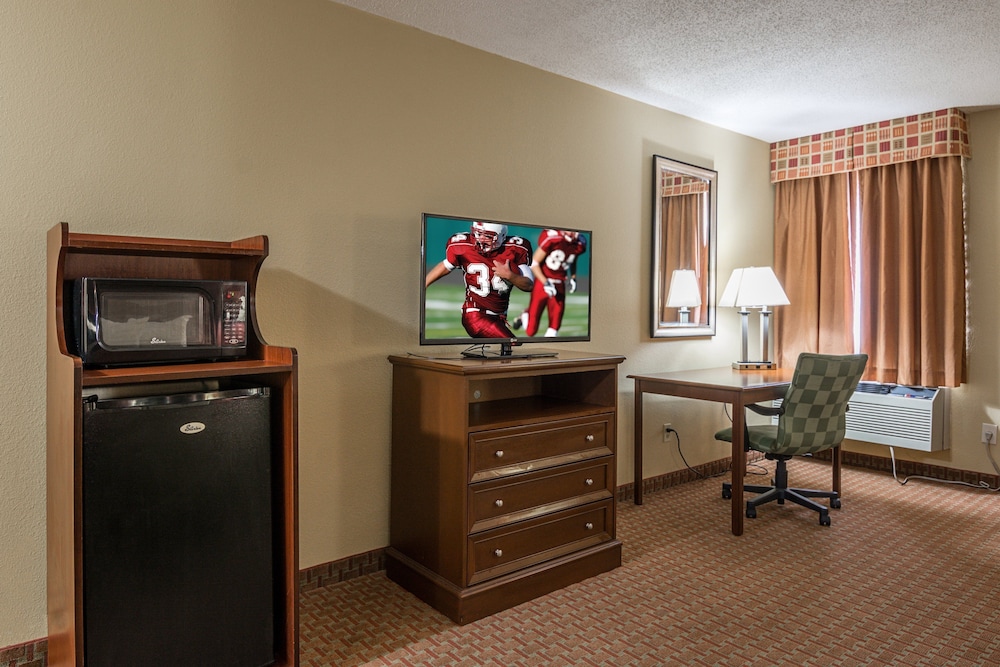 Standard Suite, 1 King Bed with Sofa bed, Smoking - Photo 6