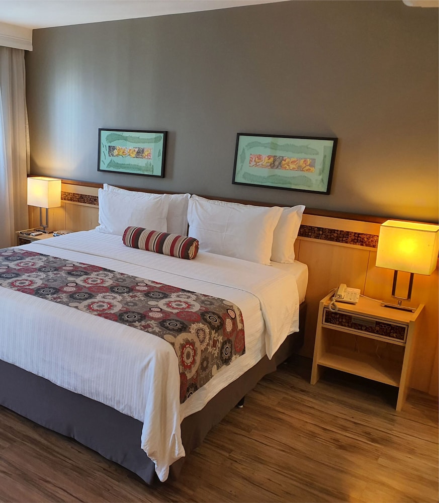 Deluxe Double Room, 1 King Bed photo 3