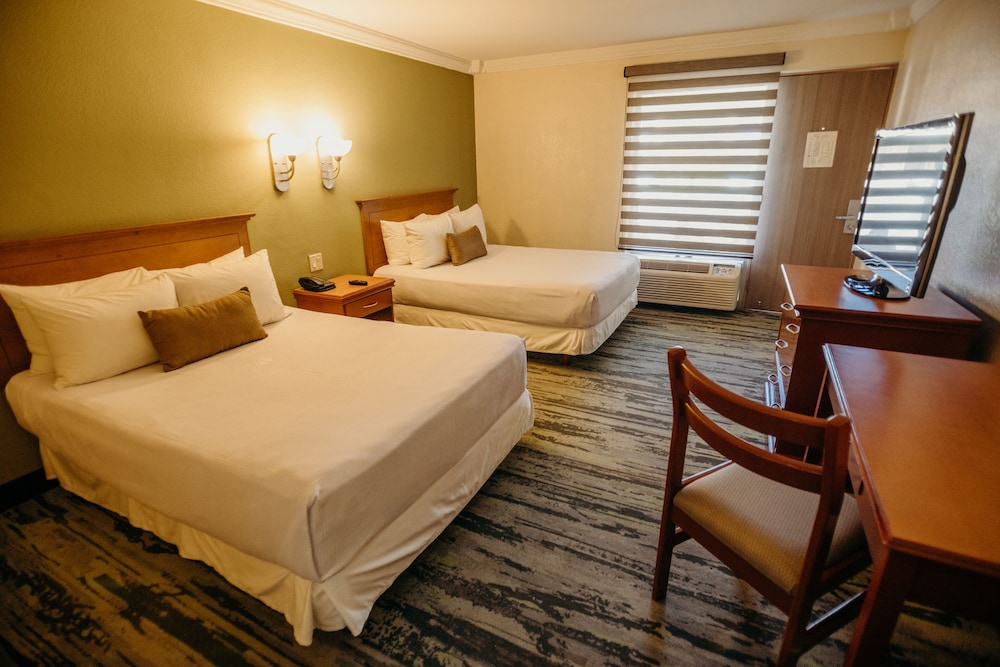 Standard Double Room, 2 Double Beds - Photo 3