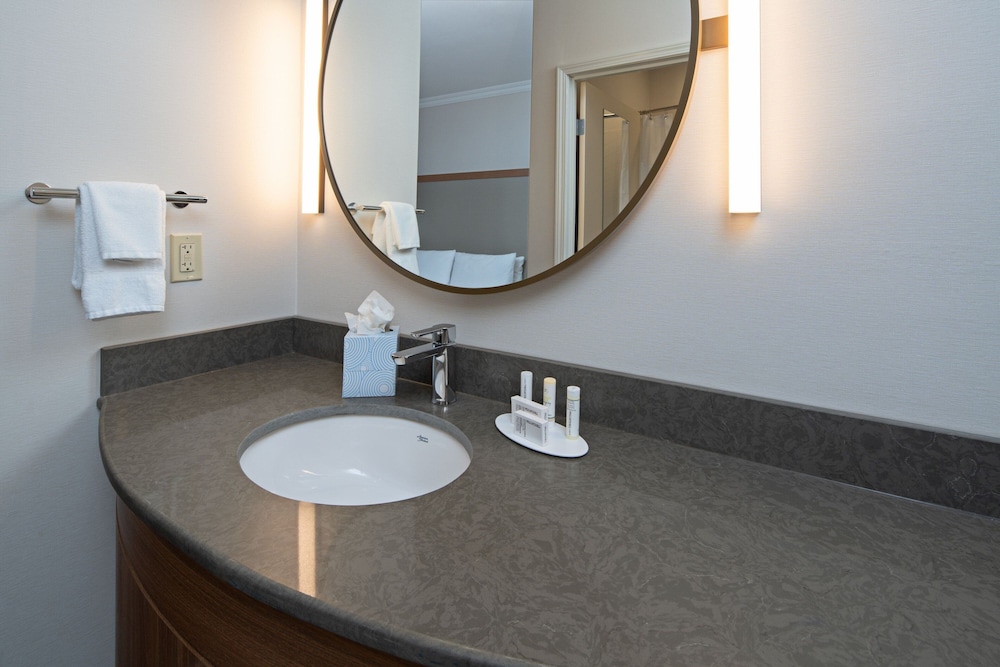 Suite, 1 Queen Bed With Sofa Bed (Mobility Accessible, Tub) photo 3