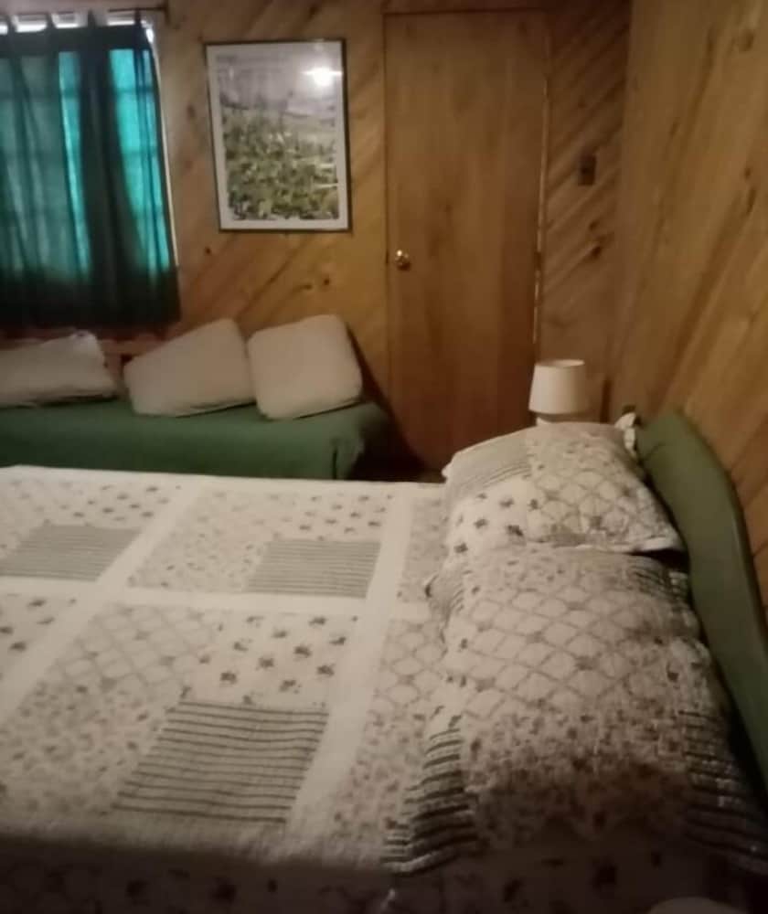 Family Cabin photo 1