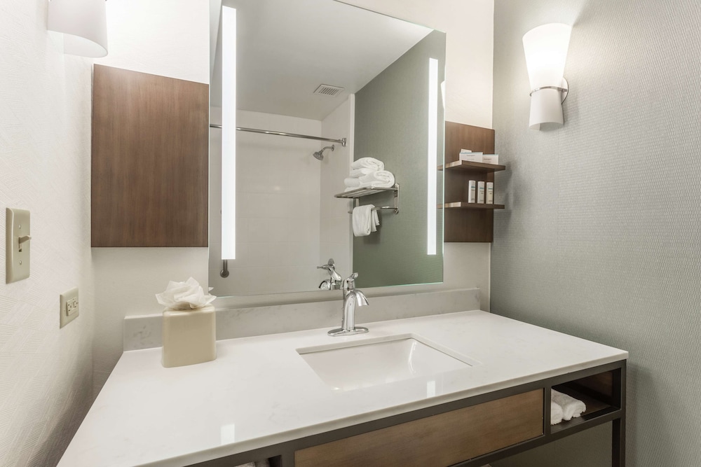 Suite, 1 Bedroom - Photo 4
