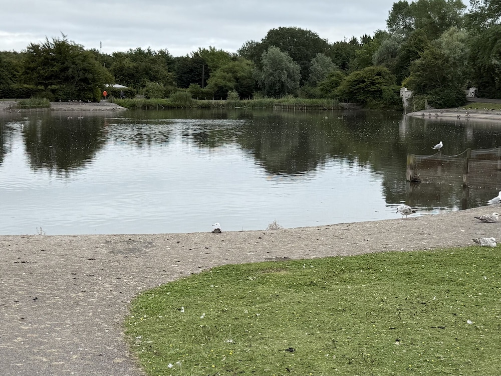 Cottage
