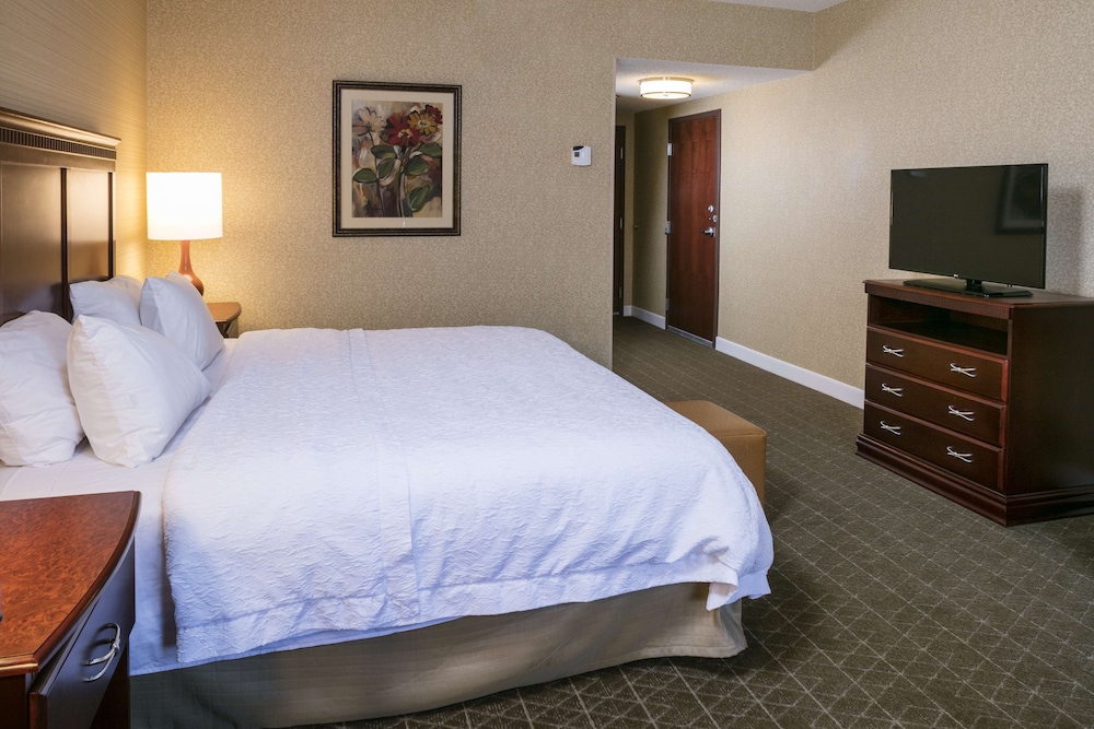 Room, 1 King Bed, Accessible, Non Smoking photo 3