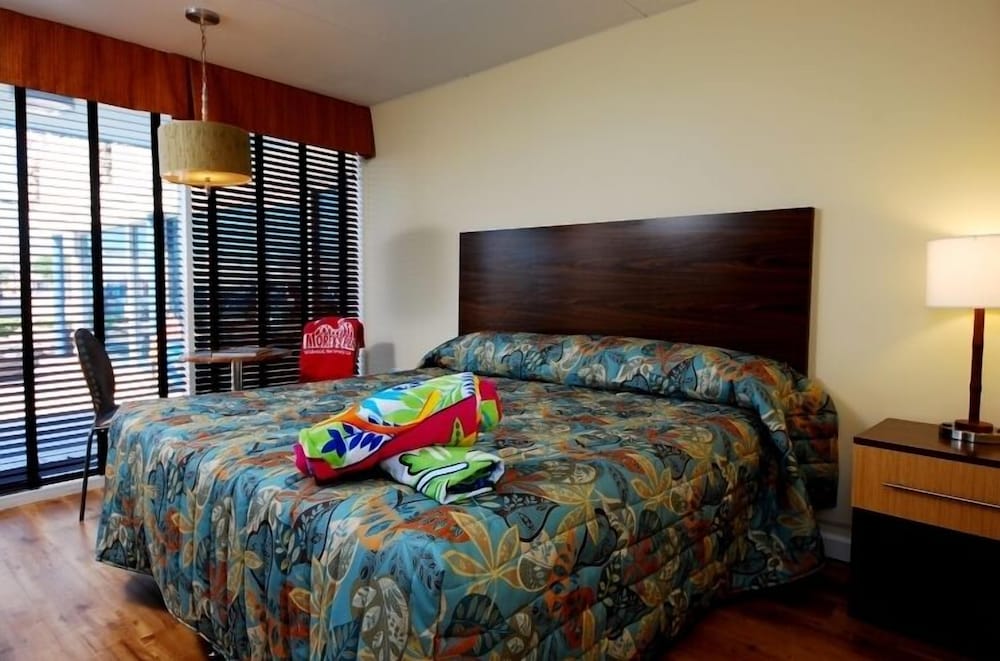 King Room photo 1