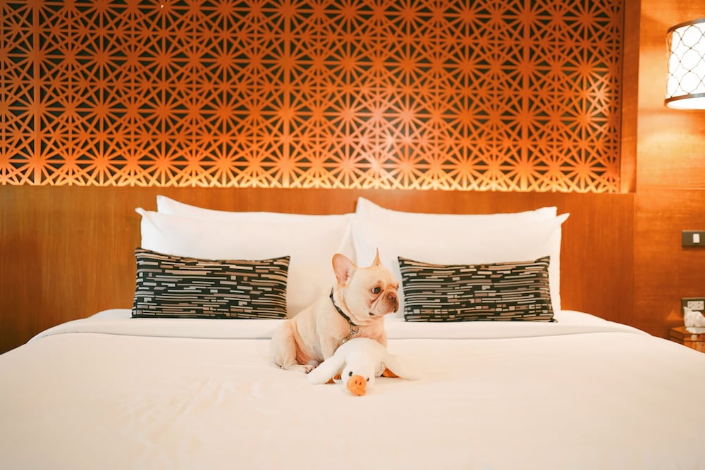 Pet-Friendly Pool Villa - Photo 10