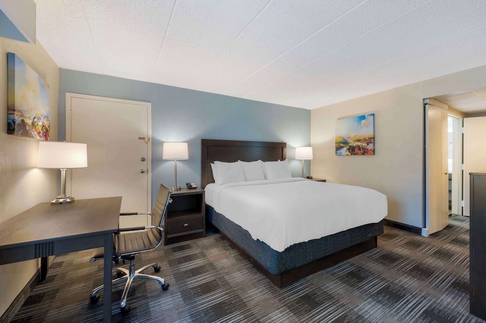 Standard Room, 1 King Bed, Accessible, Refrigerator & Microwave - Photo 2