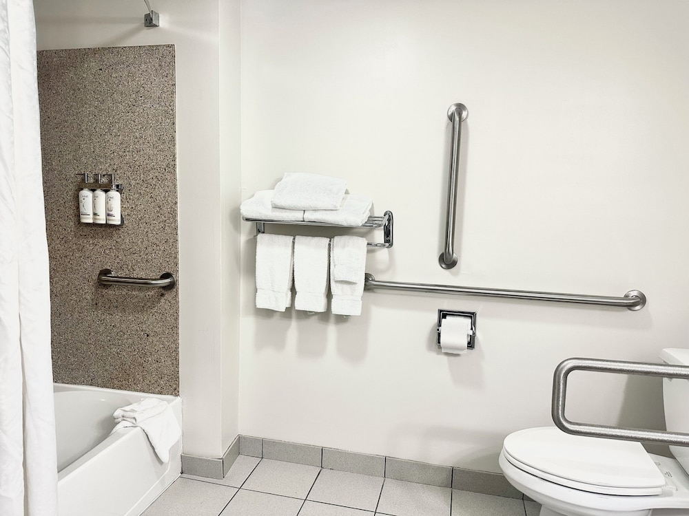 Standard Room, 1 King Bed, Roll-in Shower (Mobility, Accessible Tub) - Photo 3