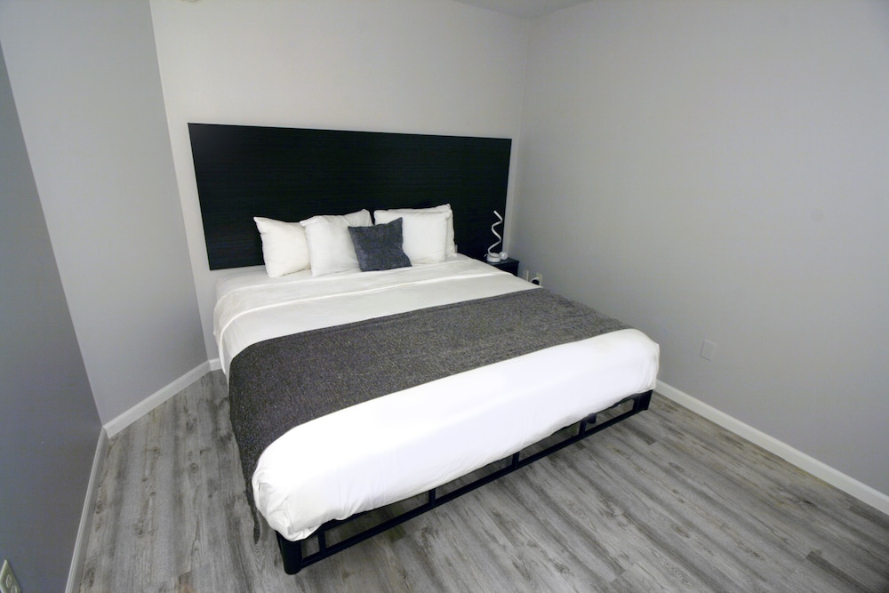 Two Room Suite - I photo 2