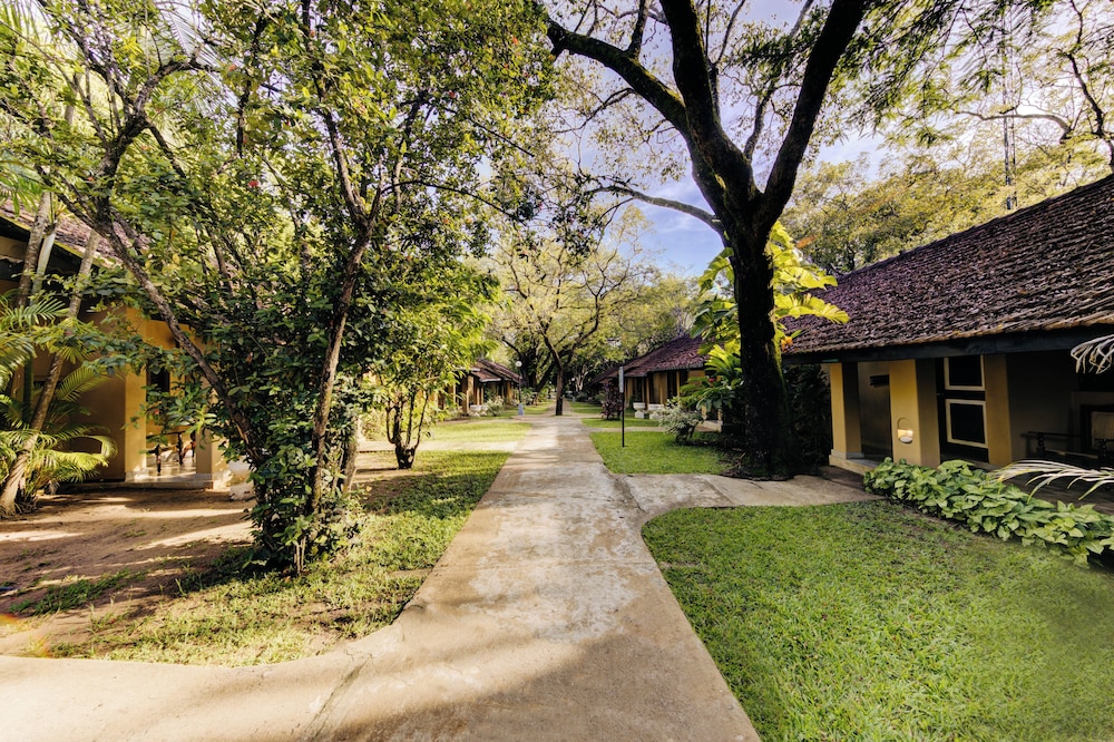 Superior Room With 15% Off F&B And Eci/Lco (On Availability)