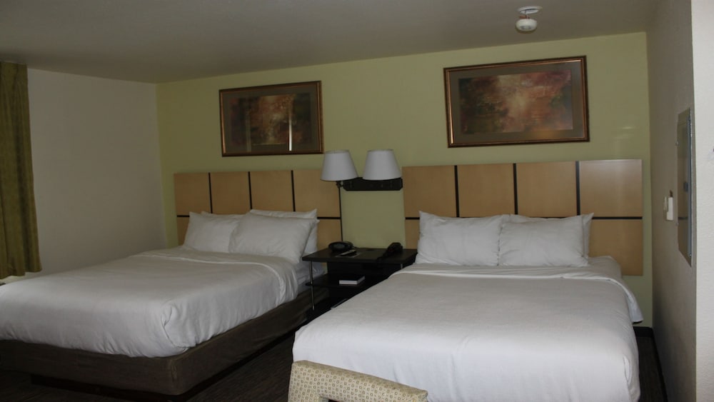 Studio Suite, 2 Double Beds, Accessible (Mobil Tub) photo 1