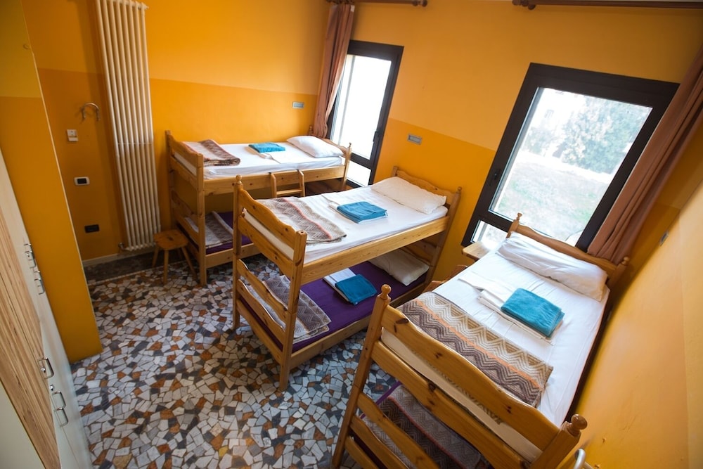 Basic Shared Dormitory photo 1