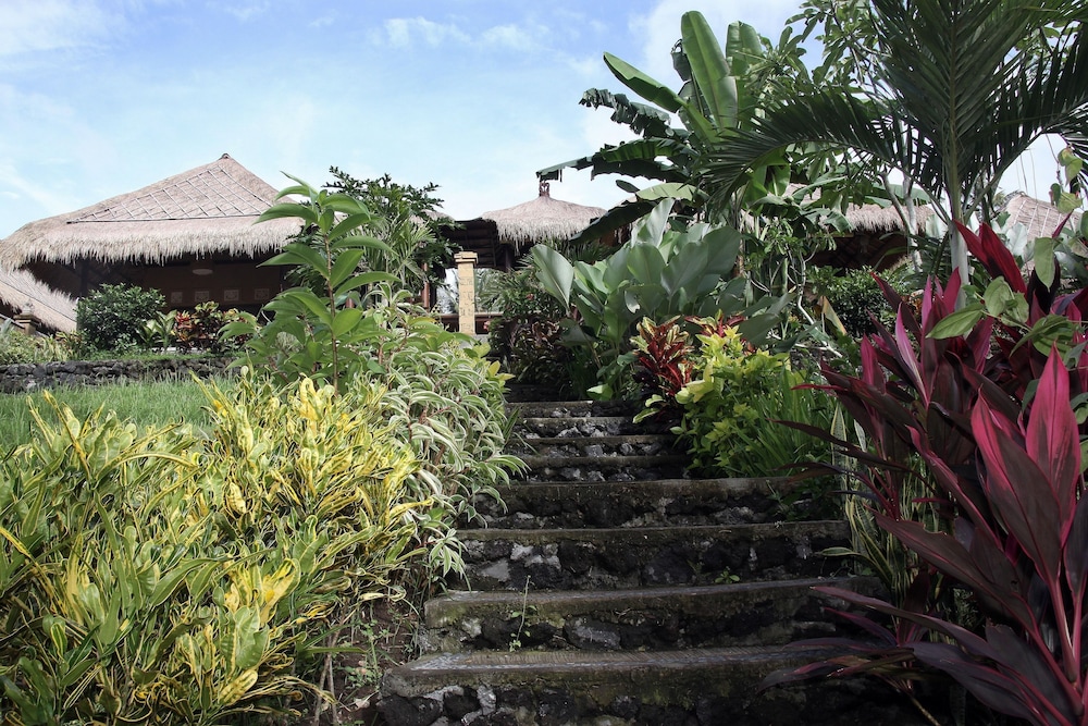 Rice Terrace Suite - Photo 18