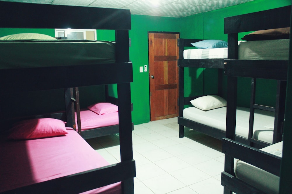 Basic Shared Dormitory photo 1