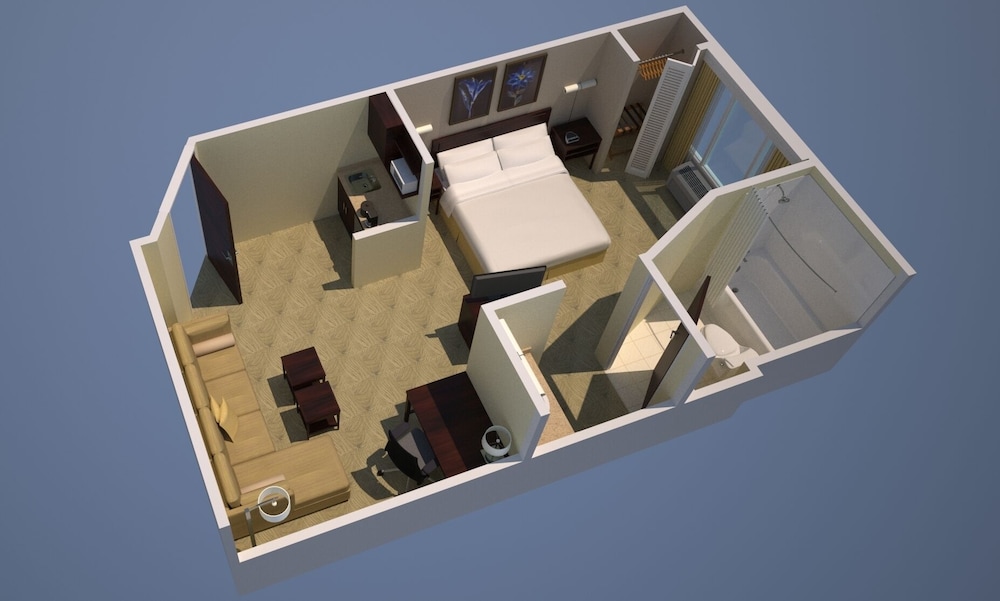 Studio Suite, 1 King Bed with Sofa bed (Hearing Accessible) - Photo 9