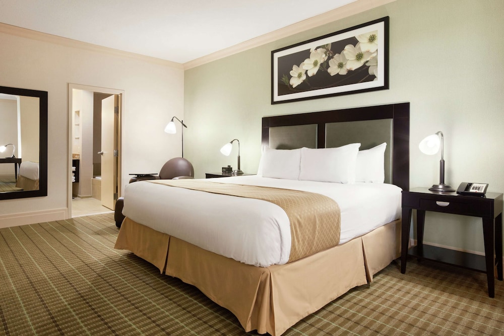 Deluxe Suite, 1 King Bed, Non Smoking photo 1