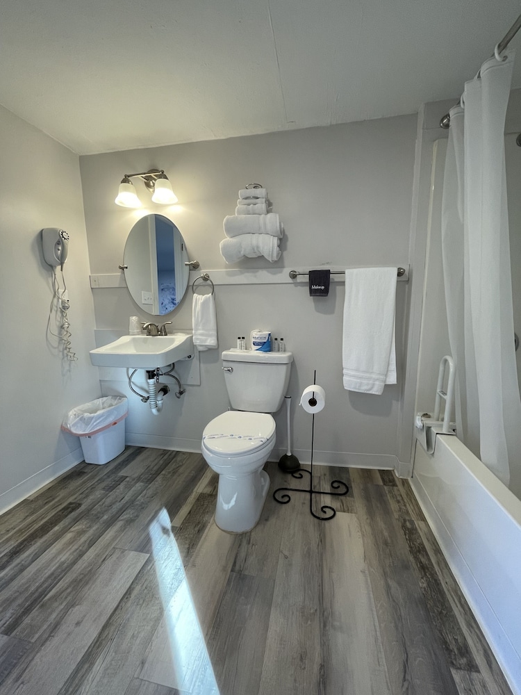Basic Suite, 1 Bedroom photo 3