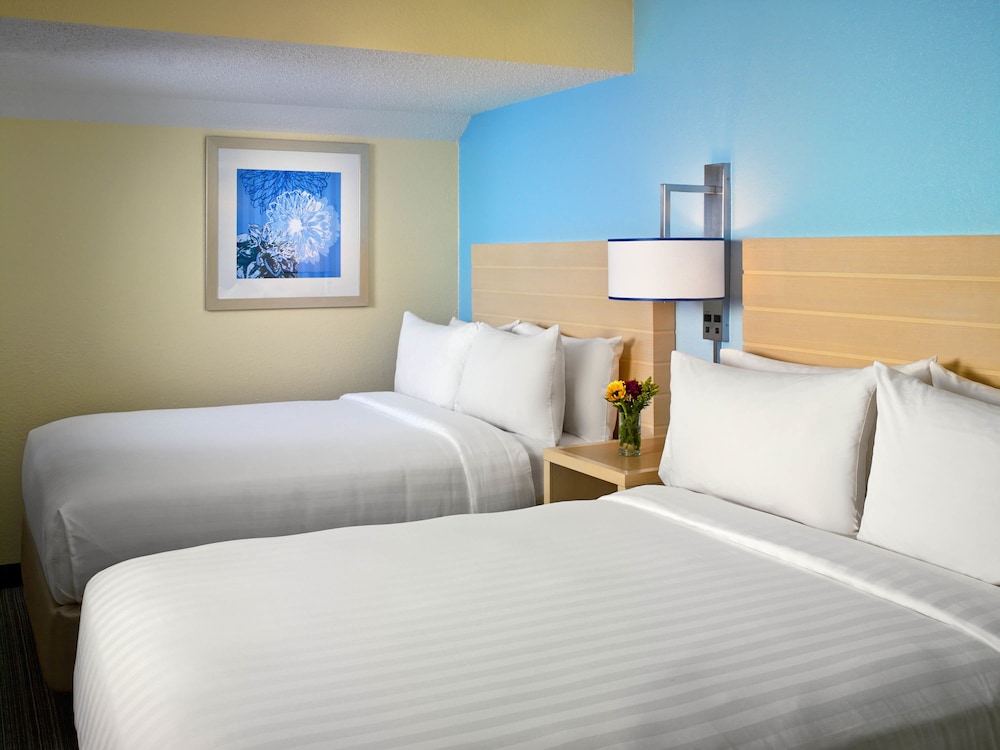 Studio Suite, 2 Queen Beds - Photo 9
