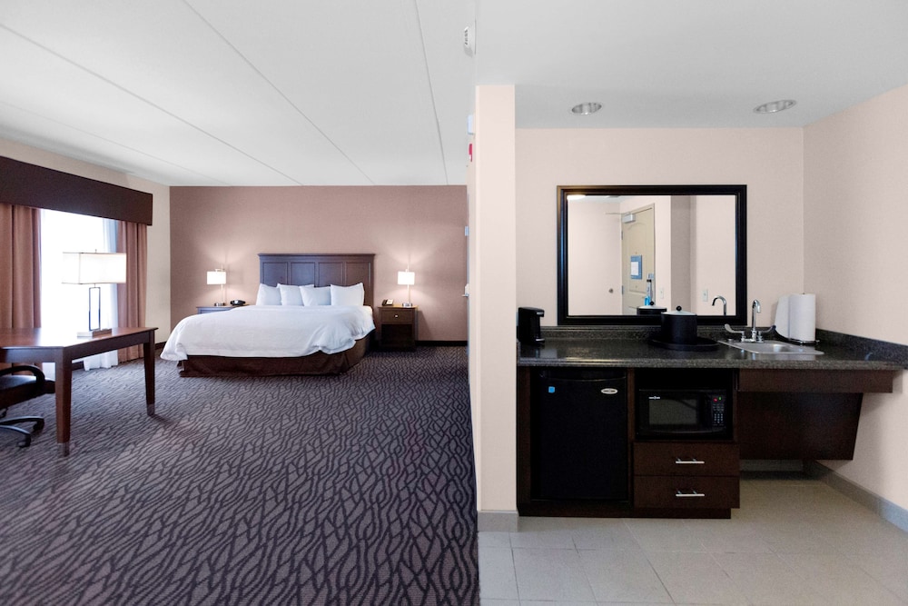 Suite, 1 King Bed, Non Smoking photo 3
