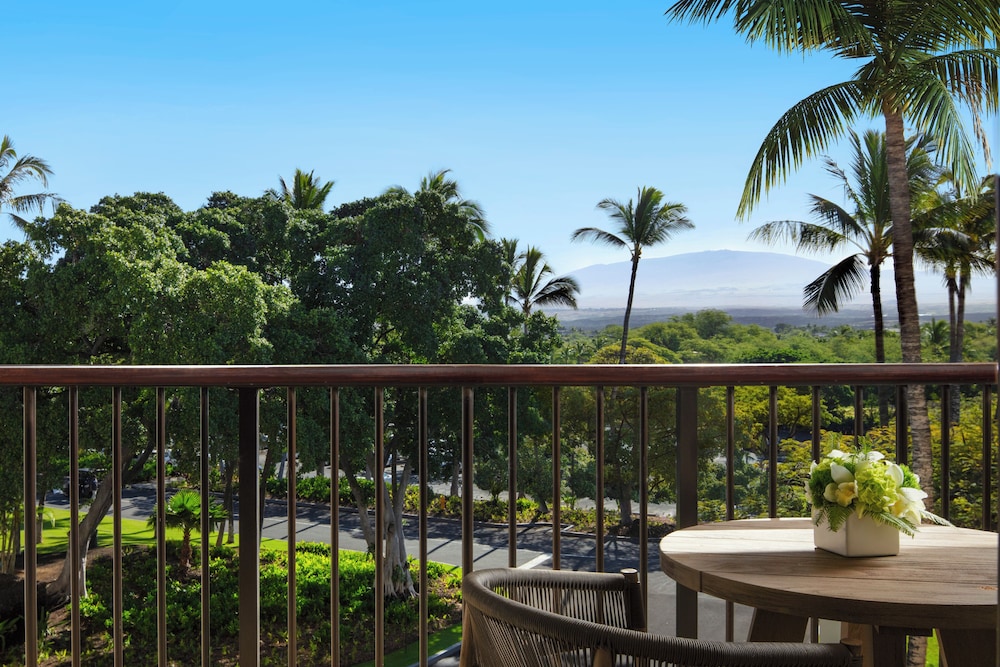 Room, 1 King Bed, Mountain View