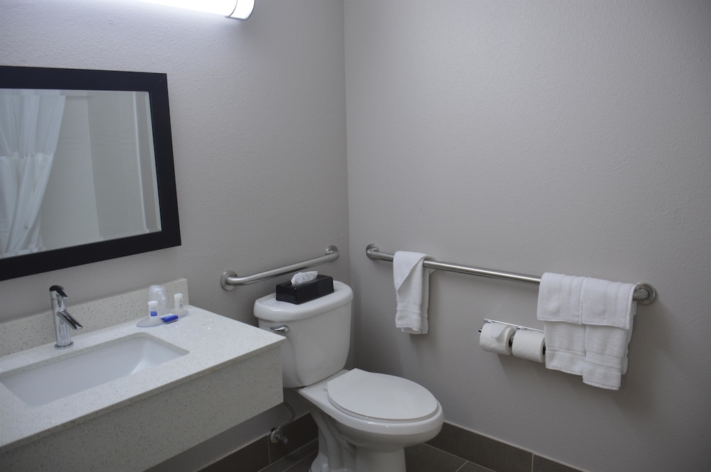 Standard Room, 1 King Bed, Accessible, Refrigerator & Microwave - Photo 4
