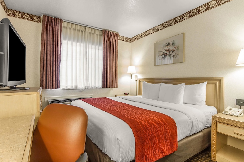 Standard Room, 1 King Bed - Photo 7