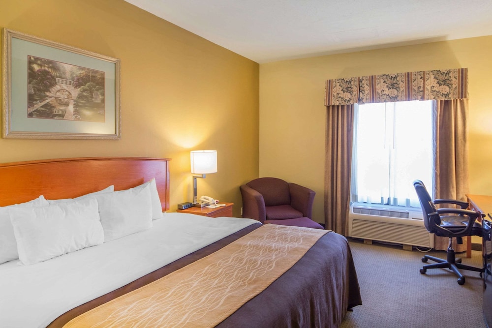 Standard Room, 1 King Bed, Non Smoking - Photo 4