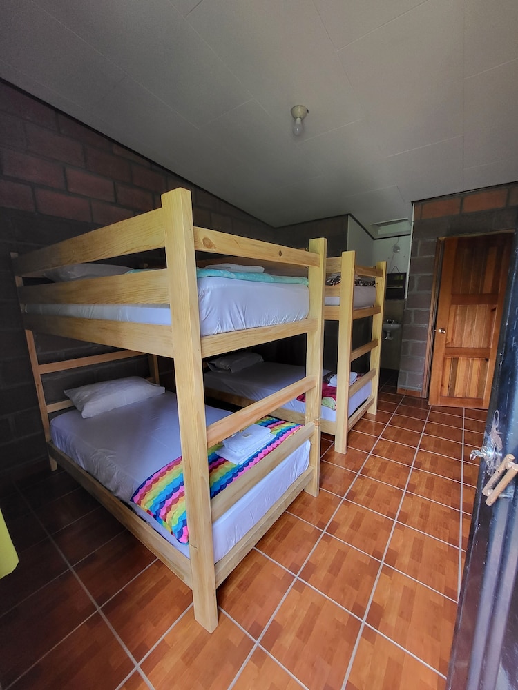 Basic Shared Dormitory photo 2