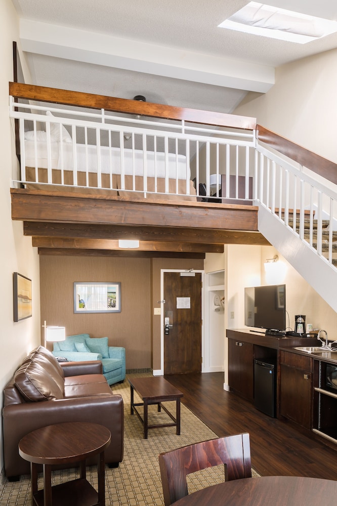Suite - Photo 1