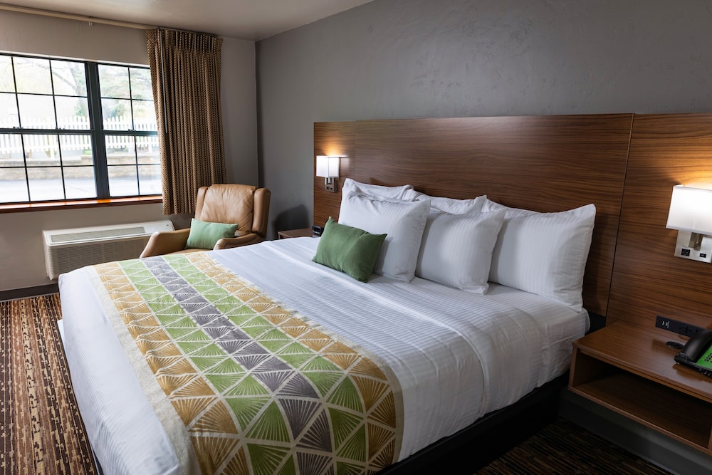 Executive Suite, 1 King Bed photo 3
