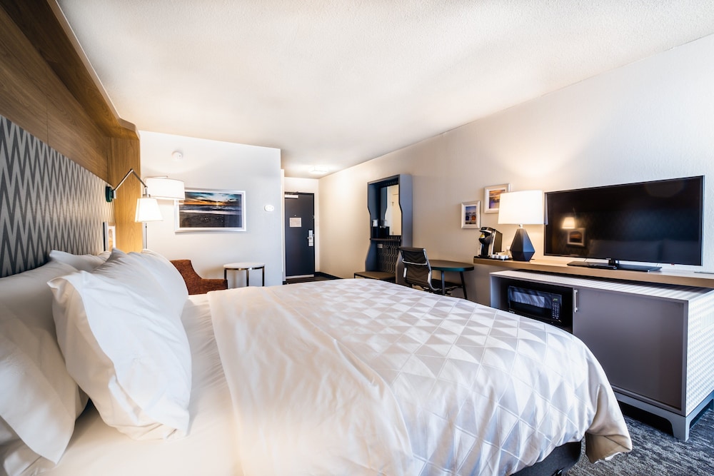 Standard Room, 1 King Bed, Accessible (Communications) - Photo 4