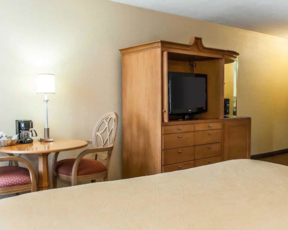 Suite, 1 King Bed, Non Smoking - Photo 3