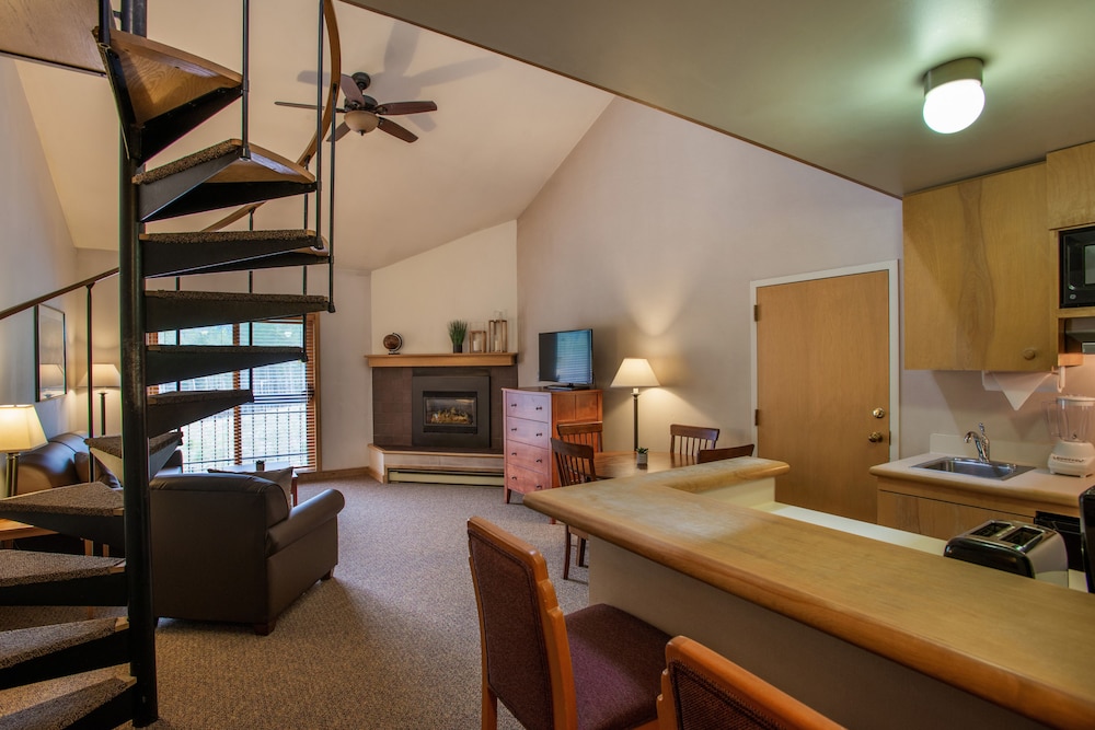 Basic Studio (Lofted) photo 1
