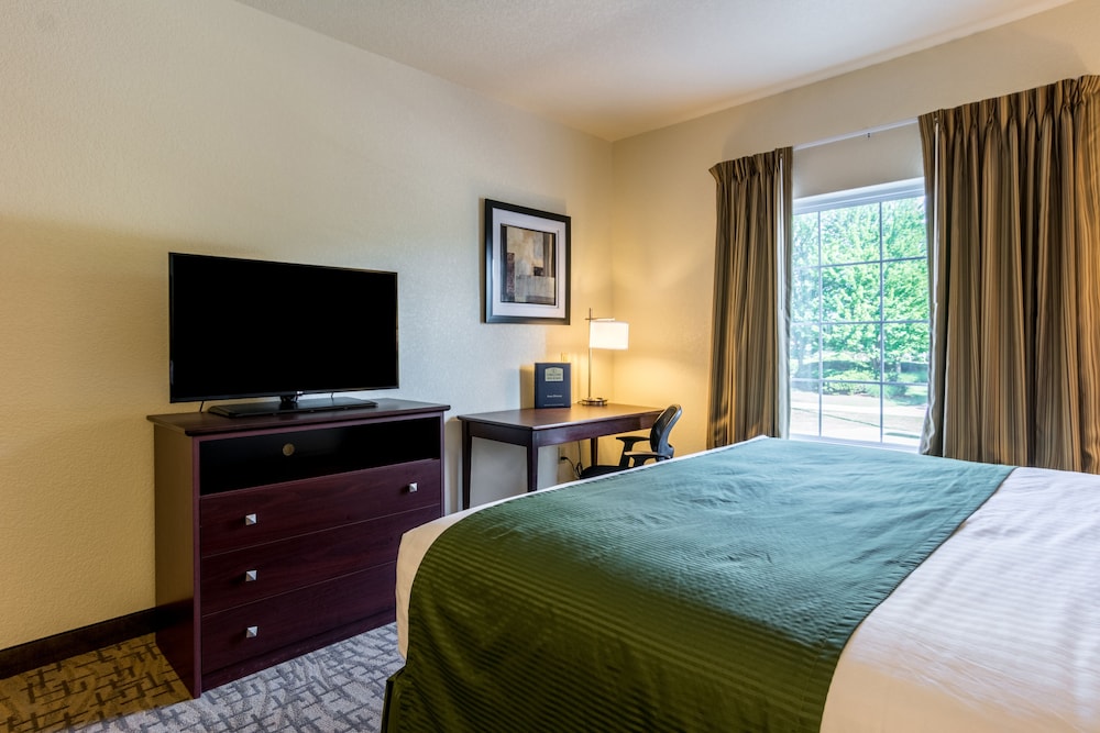 Suite, 1 King Bed, Non Smoking photo 3